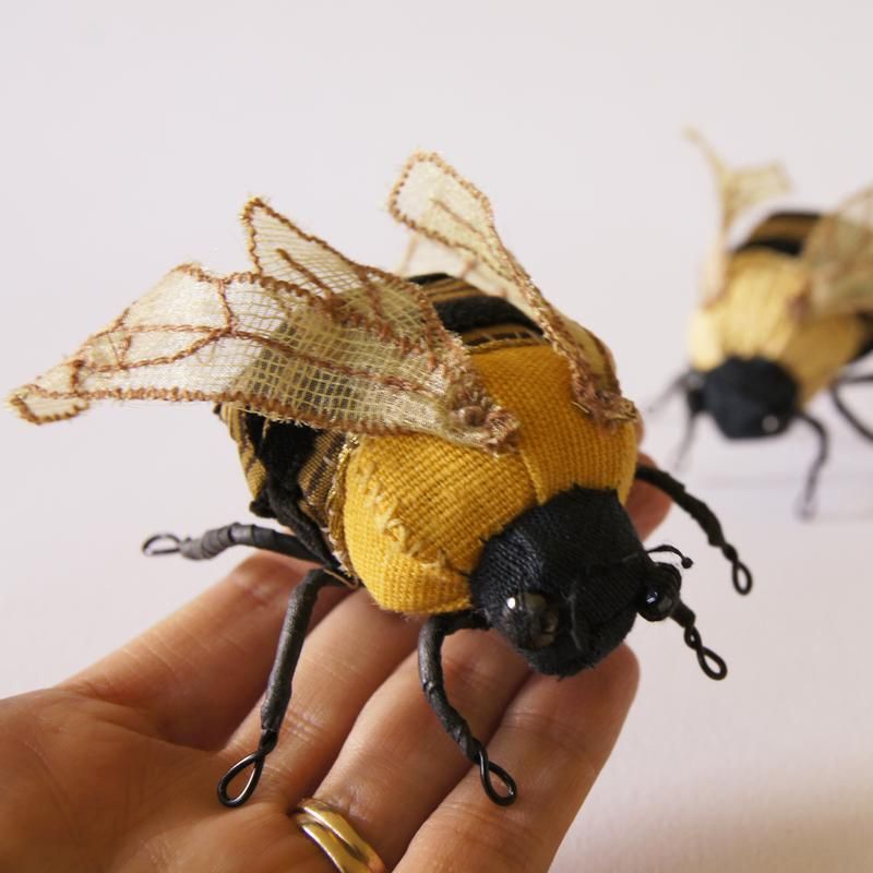 Moths, Butterflies & Birds - November 29th, 2026