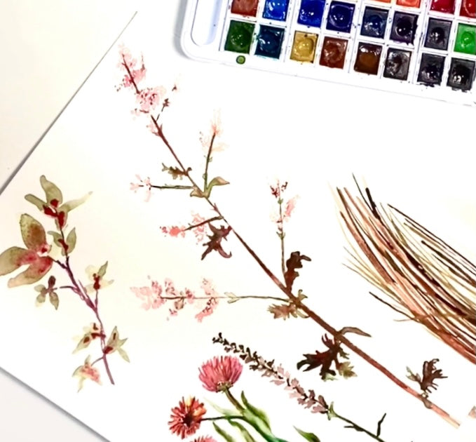 Watercolors Course